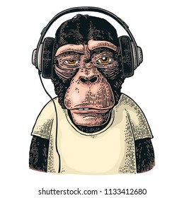 Monkey dressed t-shirt hear headphones. Vintage color engraving illustration for poster. Isolated on white background