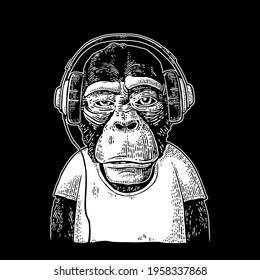 Monkey dressed t-shirt hear headphones. Vintage vector color engraving illustration for poster. Isolated on white background