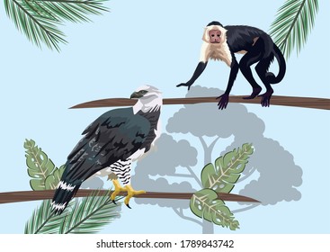 monkey and eagle animals wild in the jungle vector illustration design
