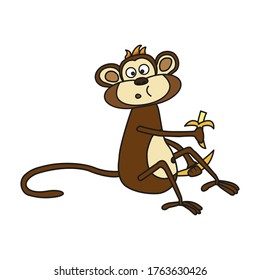 The monkey is eating a banana. Surprised facial expression in a monkey. Drawing of a monkey on a white background.