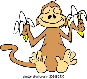 Monkey eating bananas