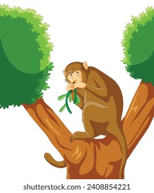 Monkey eating leaf vector illustration