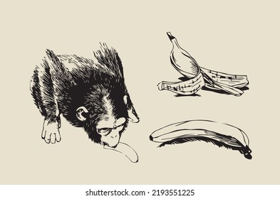 A monkey eats a banana and a picture of a banana