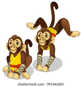 The monkey is engaged in martial arts. Vector illustration.