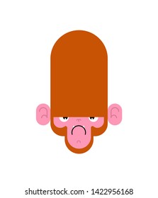 Monkey face angry isolated. Gorilla head. Vector illustration
