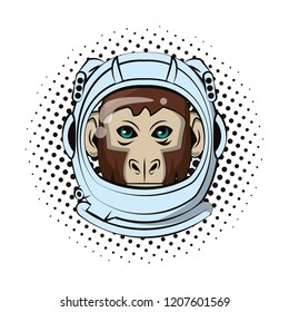 Monkey face cool sketch