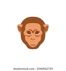 Monkey Face, head vector Icon on white background.