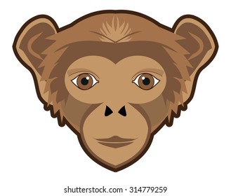 Monkey face Vector illustration 
