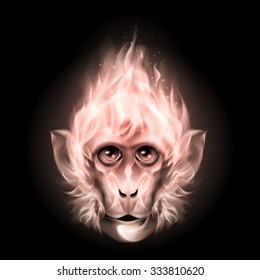 Monkey fire head isolated on black background