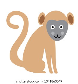 monkey flat illustration Wild life plants and animals series