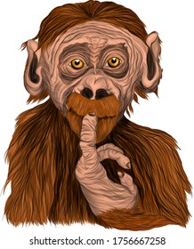 the monkey is a fun little vector illustration print
