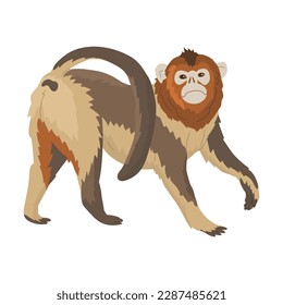 Monkey. Genus of apes. Representative of primates. Images for nature reserves, zoos and children's educational paraphernalia. Vector illustration. Isolated object.