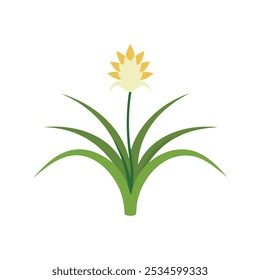 
Monkey Grass flower isolated flat vector illustration on white background 