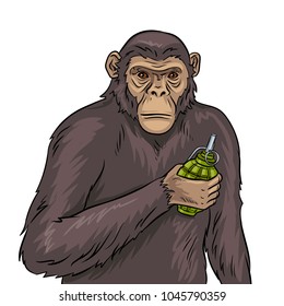 Monkey with grenade bomb in hand pop art retro vector illustration. Isolated image on white background. Comic book style imitation.