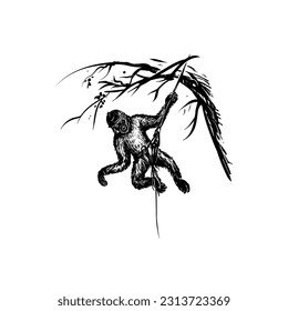 Monkey hand drawing vector artwork