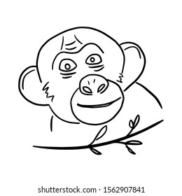 Monkey hand drawn outline. Coloring book. Isolated vector illustration.