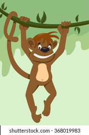 monkey hanging on a branch