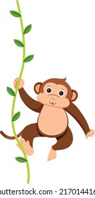 Monkey hanging on liana illustration