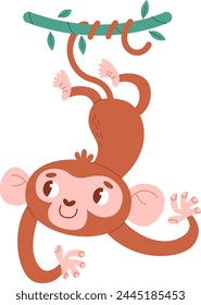 Monkey Hanging On Liana Vector Illustration