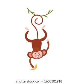 Monkey hanging on tree branch and catching banana vector illustration