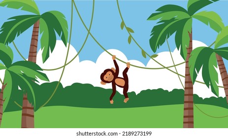 monkey hanging on a vine