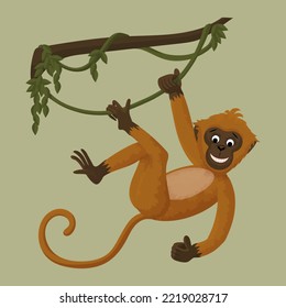 Monkey hanging on a vine