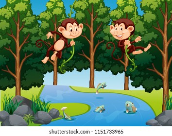 Monkey hanging on vine in forest illustration