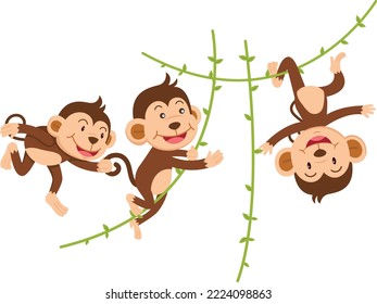 The monkey hangs on a branch isolated vector illustration