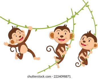 The monkey hangs on a branch isolated vector illustration