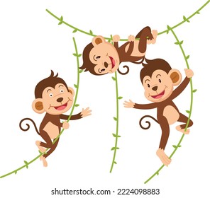 The monkey hangs on a branch isolated vector illustration