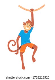 Ein Affe hängt auf einer Hand an einer Limane. Sporttier