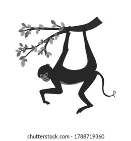 The monkey hangs from the tree. Vector graphic drawing. Close-up. There are black, white, gray shades. Drawn by hand. Can be used for websites, stickers, collages, magazines, children's books.