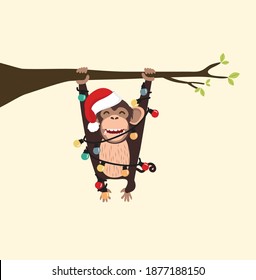 monkey with hat christmas climbing tree
