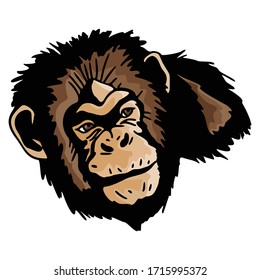 Monkey head Animal Template Icon Collection