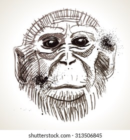 Monkey head avatar, Chinese zodiac sign, black silhouette isolated on white, hand drawn portrait, grunge, front face.