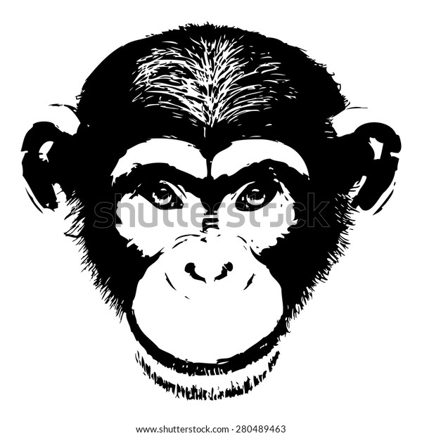 Monkey\
head avatar, Chinese zodiac sign, black silhouette isolated on\
white, hand drawn portrait, grunge, front face.\
