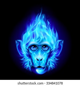 Monkey head in blue fire isolated on black