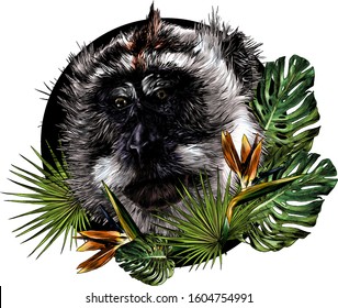 monkey head looks slightly sideways with downcast eyes round composition with tropical plants on the edges, sketch vector illustration in graphic style on a white background