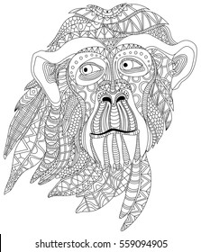 Monkey head portrait graphic vector illustration