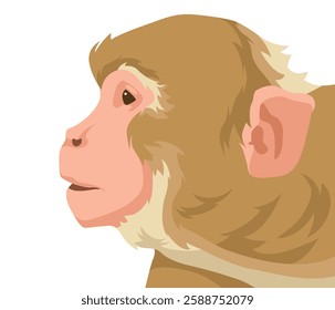 Monkey Head realistic vector illustration on white background. Monke icon Vector illustration isolated on white background