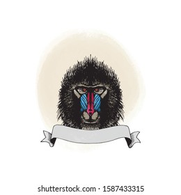 Monkey head sketch card in color on white background