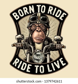 Monkey in the helmet and glasses driving a motorcycle rides. Vector hand drawn vintage engraving. Isolated on white background. Born to ride lettering. For poster and t-shirt biker club