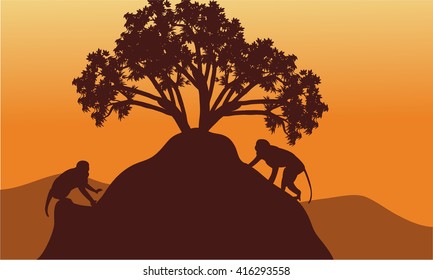 Monkey in hills scenery at sunset with brown backgrounds