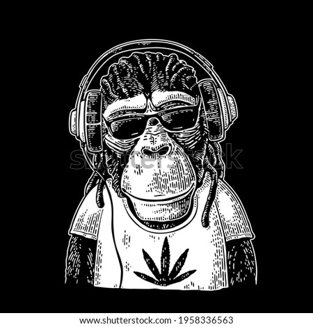 Monkey hipster with dreadlocks in headphones, sunglasses and t-shirt with marijuana leaf. Vintage white engraving illustration for poster. Isolated on black background