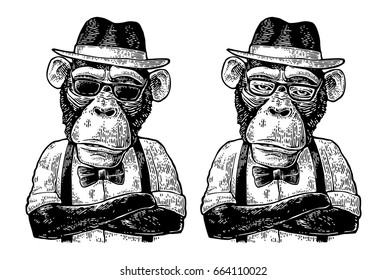 Monkey hipster and paws crossed dressed in human hat  shirt  sunglasses   bow tie  Vintage black engraving illustration for poster  Isolated white background