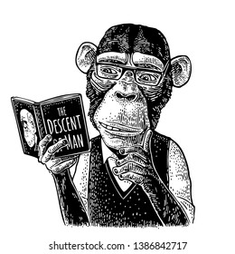 Monkey hipster is reading a book The Descent of Man with glasses dressed in shirt and slip-over. Vintage black engraving illustration isolated on white. Hand drawn design element for t-shirt