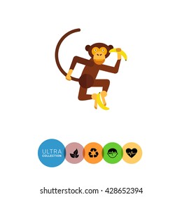 Monkey holding bananas
