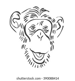 Monkey Icon