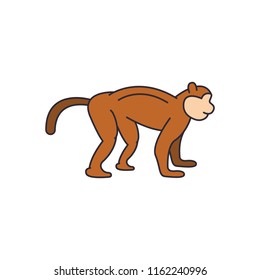 Monkey icon. Cartoon monkey vector icon for web design isolated on white background