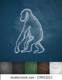 monkey icon. Hand drawn vector illustration. Chalkboard Design